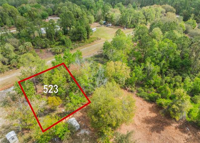 Property at 523 Gardenia Ave, Georgetown, FL 32139