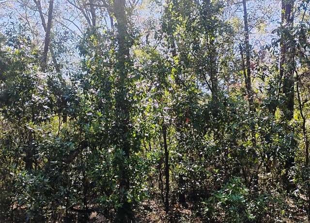 Property at 0 282nd Ter, Branford, FL 32008