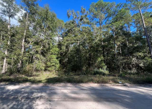 Property at Rutland Rd, Crawfordville, FL 32327