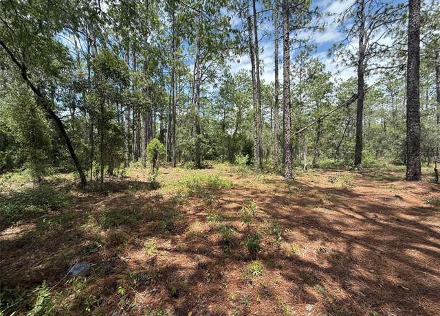 Property at NW Ridgewood Rd, Dunnellon, FL 34431