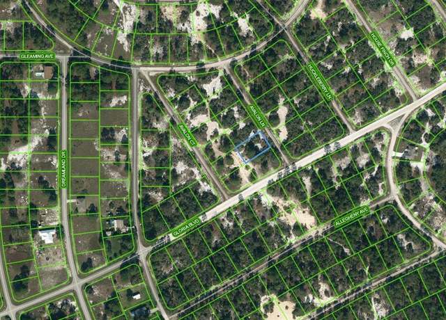 Property at 602 Avalon Ln, Lake Placid, FL 33852