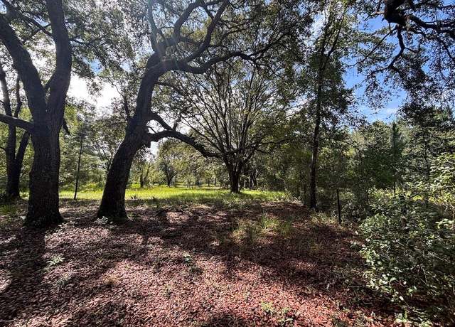 Property at 1 4057-0797, Fort Mc Coy, FL 32134