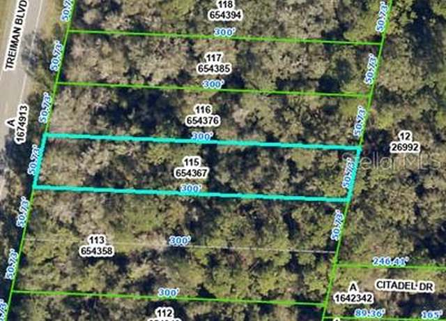 Property at 8388 Treiman Blvd, Webster, FL 33597