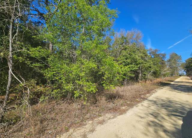 Property at 1790 NE 156th Ter, Williston, FL 32696