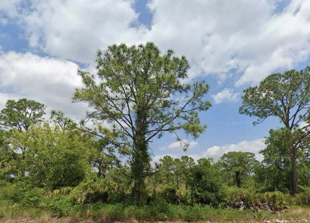 Property at 1824 Washington Blvd NW, Lake Placid, FL 33852