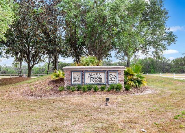 Property at 117 Alafia Estates Ln, Plant City, FL 33567