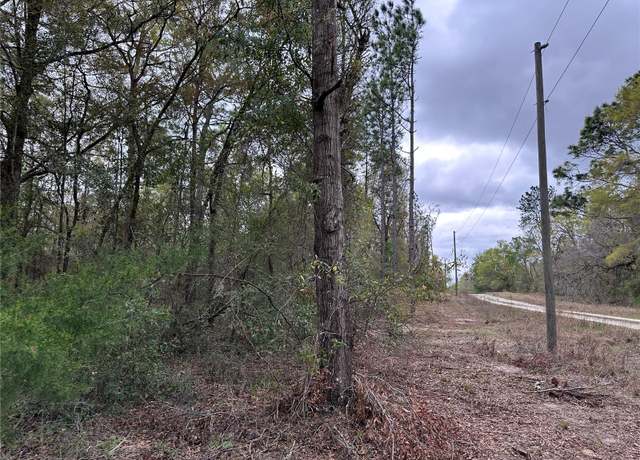 Property at 481 NE 154th Ter, Williston, FL 32696