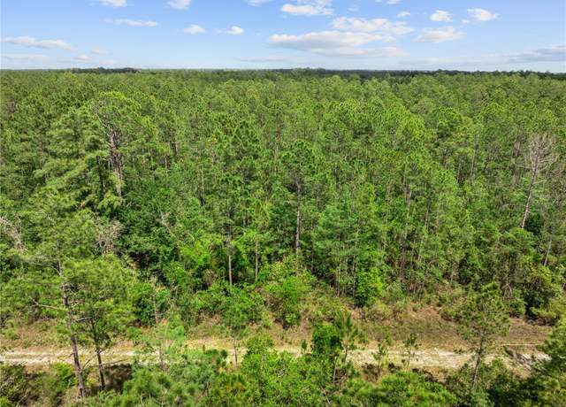 Property at Crotty Ave, Hastings, FL 32145