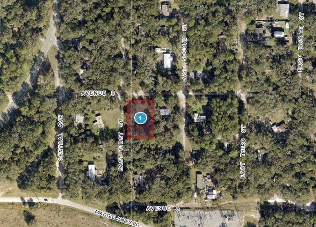 Property at 25040 E Avenue B, Paisley, FL 32767