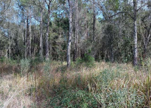 Property at 00 E Hwy 316, Fort Mc Coy, FL 32134