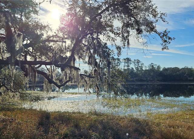 Property at Lot 1 - 10.05ac E Hwy 318, Citra, FL 32113