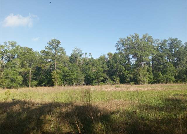 Property at Mecca Rock Rd, Webster, FL 33597