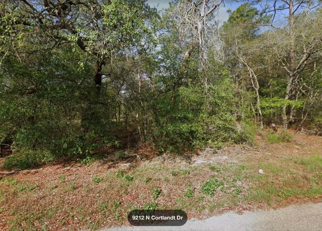 Property at 9212 N Cortlandt Dr, Citrus Springs, FL 34434