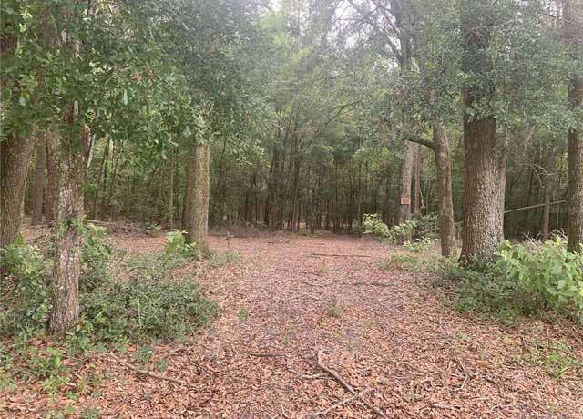 Property at SW 20th St, Bell, FL 32619