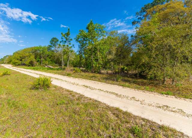 Property at NE 65 St, Williston, FL 32696