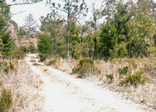 Property at 0 NE 61st Ln, Williston, FL 32696