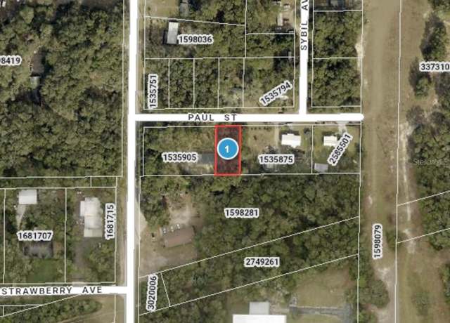 Property at 24530 Paul St, Mount Plymouth, FL 32776