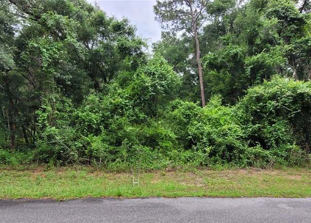 Property at 9120 N Aruba Dr, Citrus Springs, FL 34434