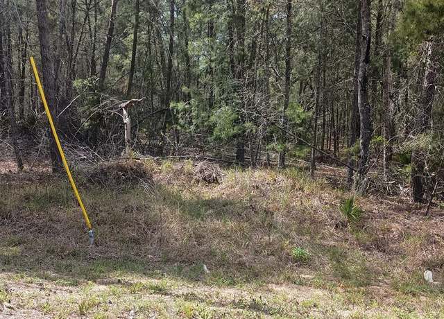 Property at 0 Fisher Ct Lot 13, Ocklawaha, FL 32179