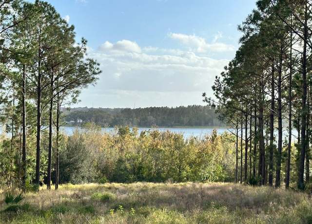 Property at 16744 Artimino Loop, Bella Collina, FL 34756