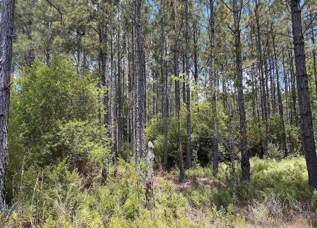 Property at 1570 SW Wabasso Ter, Greenville, FL 32331
