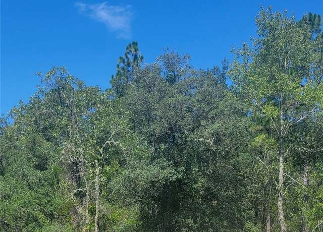 Property at 0 SW Big Bear Rdg, Dunnellon, FL 34431