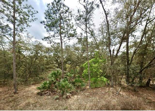 Property at 109 Dottie St, Interlachen, FL 32148