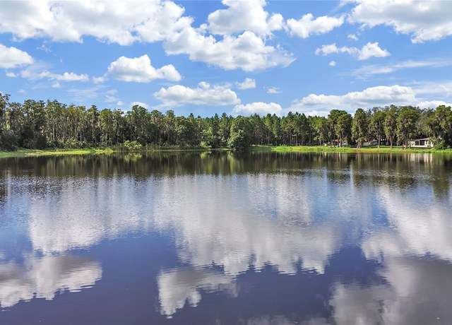 Property at 18117 Boy Scout Rd, Odessa, FL 33556