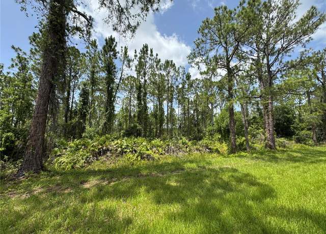 Property at Hwy 630 E, Frostproof, FL 33843