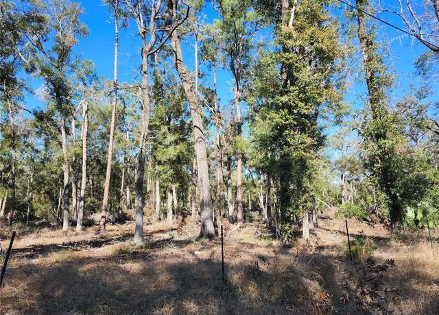 Property at SW 13th St, Bell, FL 32619