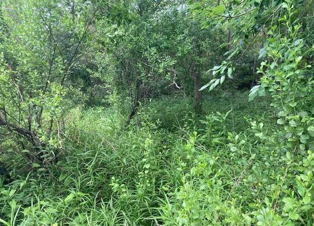 Property at Sweetwater Trl, Kissimmee, FL 34747