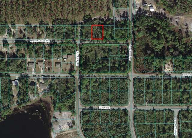 Property at 00 Malauka Pass Trl, Ocklawaha, FL 32179