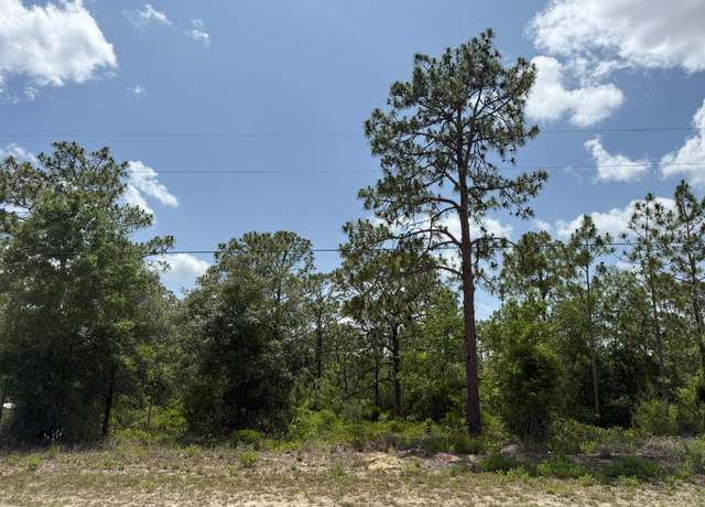 Property at SW 167th Ave, Ocala, FL 34481