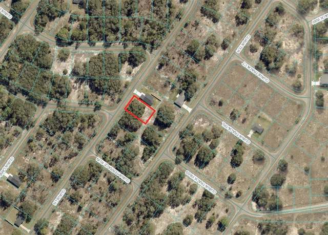 Property at TBD Guava Ln, Ocklawaha, FL 32179