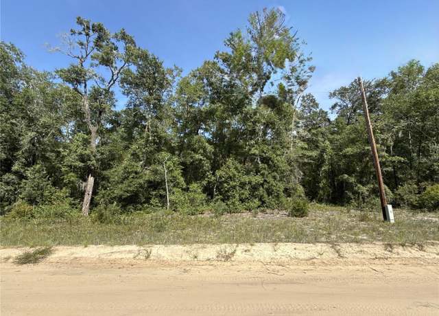 Property at 0 Gloria Ave, Interlachen, FL 32148