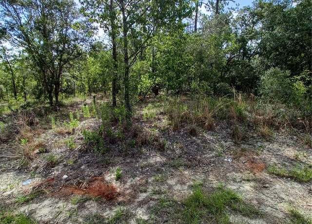 Property at SW Tamiami Pl, Dunnellon, FL 34431