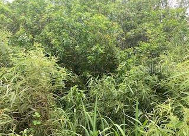 Property at S Goodman Rd, Kissimmee, FL 34747