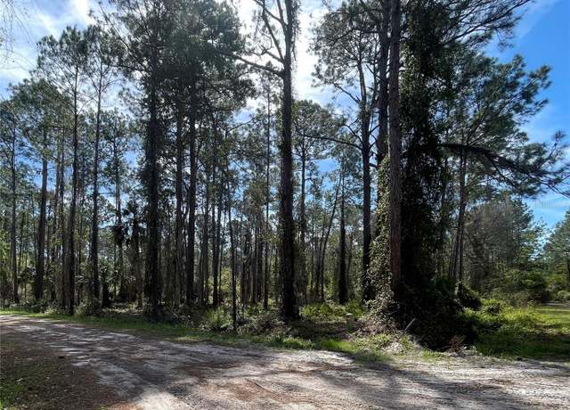 Property at 107 Rosewood St, Georgetown, FL 32139