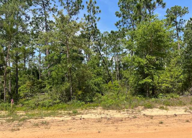 Property at Holly Springs Ave, Alford, FL 32420
