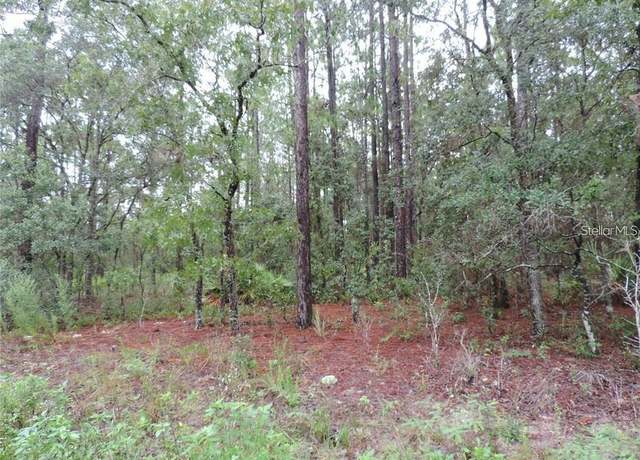 Property at TBD SW 135th Terrace Rd, Dunnellon, FL 34432