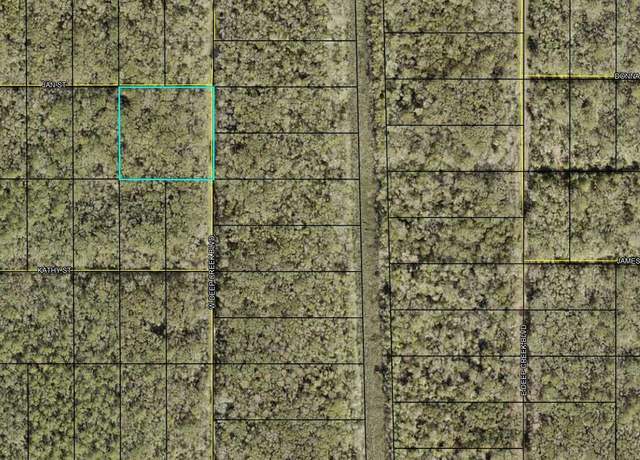 Property at XXX W Deep Creek Blvd Blvd, Hastings, FL 32145