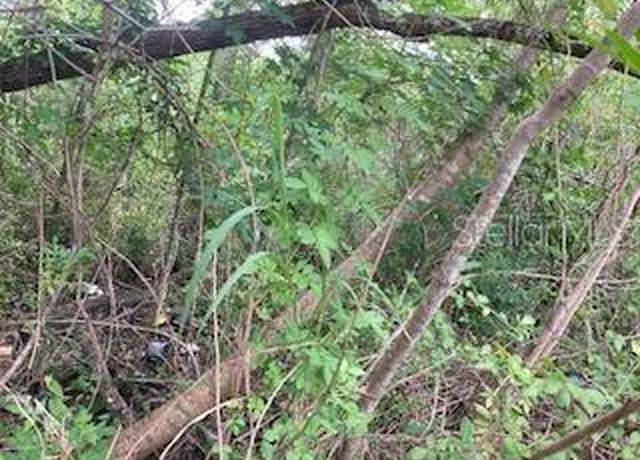 Property at Holopaw Groves Rd, Saint Cloud, FL 34773