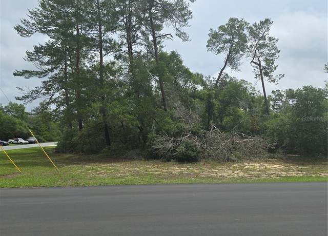 Property at 0 SW 41st Ave Rd, Ocala, FL 34473