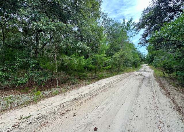 Property at Cedar Trl, Interlachen, FL 32148