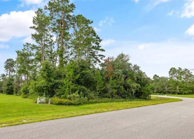 Property at 13615 Gopher Pond Ct, Hudson, FL 34669