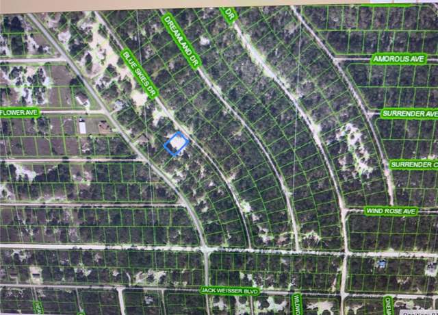 Property at 510 Blue Skies Dr, Lake Placid, FL 33852