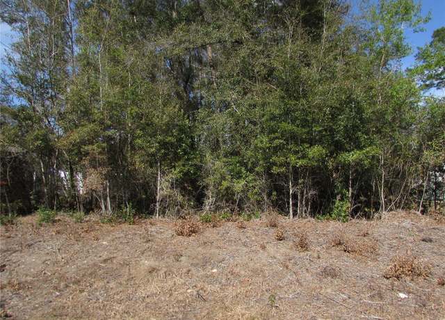 Property at Lot 32 SW Robin Dr, Dunnellon, FL 34431