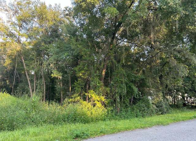 Property at SE 101st Ter, Belleview, FL 34420