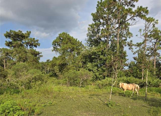 Property at 2301 NW 395th Ct NW, Okeechobee, FL 34972