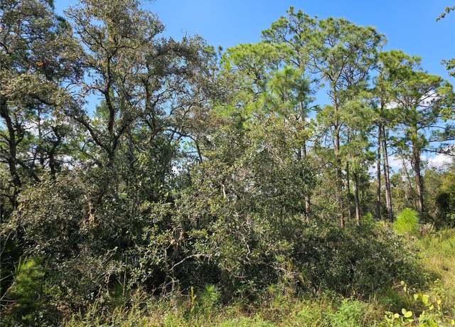 Property at 7105 Orchid Pl, Sebring, FL 33875